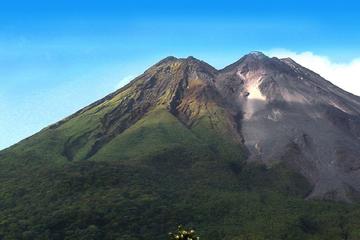 Arenal Volcano Rainforest Walk and Hot Springs
