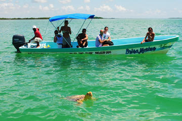 Small-Group Tour: Sian Ka'an Biosphere Reserve Day Trip from Tulum