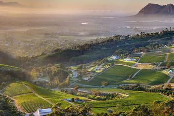 Constantia Sunday Funday
