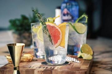 The Gin Jol (Gin Experience)