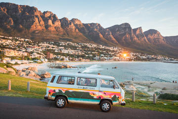 Urban Safari in Cape Town