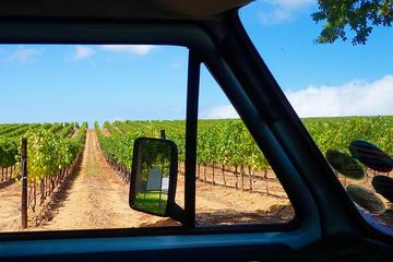 Wine Beer and Biltong Safari (Stellenbosch Experience)
