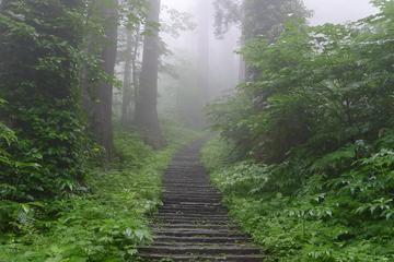 Mt Haguro Pilgrim Walking Tour