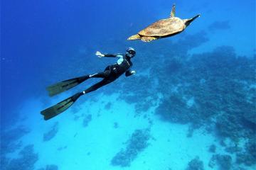 Discover Freediving