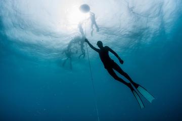 PADI Freediver beginner course