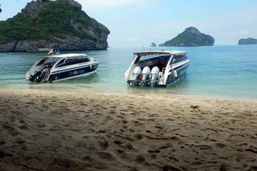VIP Tour Angthong Marine Park