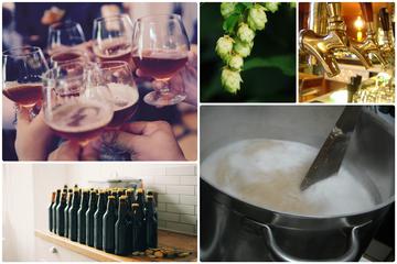 Budapest Craft Beer Tour by Local Home Brewers