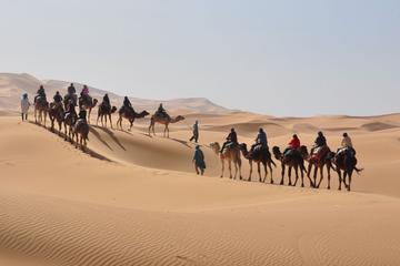 Sahara Tour to Erg Chebbi