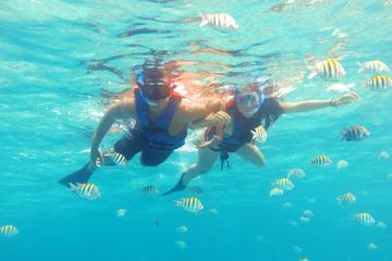 Maroma Beach Reef Adventure with Catamaran Ride