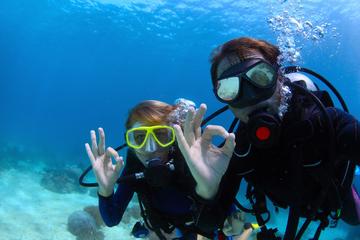 Scuba Diver PADI Certification Course