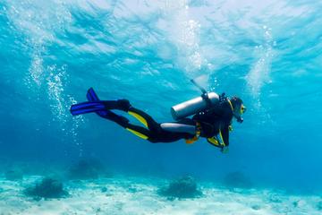 Scuba Referral Dives