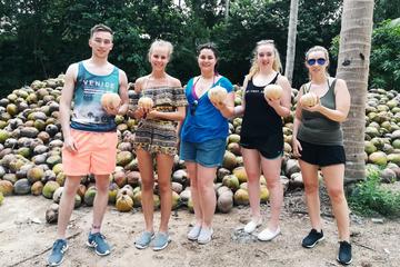 Phangan island tour