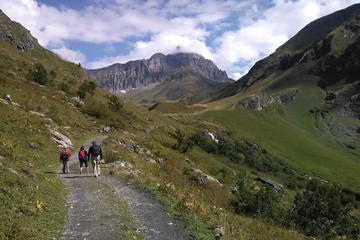 In the Heart of the Alps Hike Tour From Lucerne