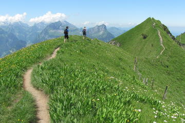 Private Full-Day Alpine Ridge Hiking Tour from Lucerne