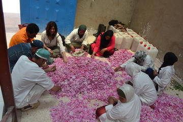 2 DAYS EXCURSION : MARRAKECH TO FEZ VIA VALLEY OF ROSES