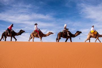 4 Days Shared Desert Trip From Marrakech to Fez via SAHARA