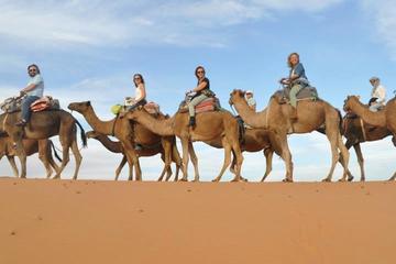 7-DAY TREKKING TOUR FROM MARRAKECH TO TO ERG CHEGAGA DESERT
