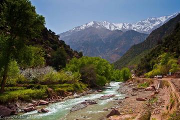 Ourika Valley And Atlas Mountains Day Trip From Marrakech