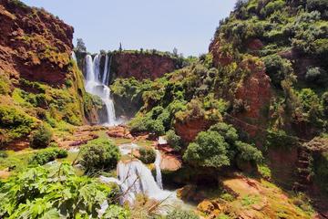 Shared Ouzoud Waterfalls Day Trip From Marrakech