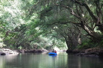 Wildlife Safari Float Trip and Natural History Tour