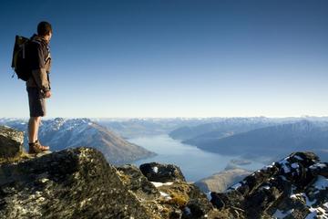 Small Group Alpine Guided Walk from Queenstown