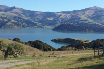 Akaroa Private Day Tour from Christchurch