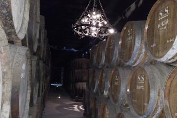 Discover the history and flavors of the best winery's of  Lisbon Region