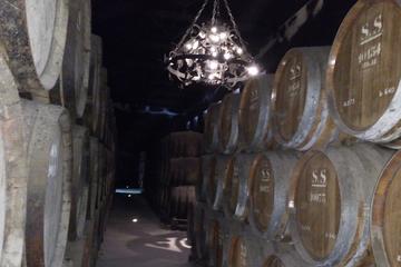 Vinhos adegas e os sabores típicos da Região de Lisboa