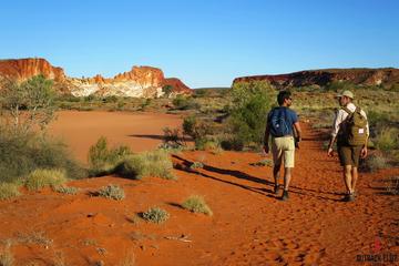 Half-Day Rainbow Valley Sunset Tour from Alice Springs