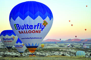 Butterfly Flight