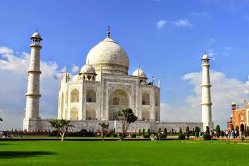 Private Day Trip of Taj Mahal and Agra Fort with Lunch from Delhi
