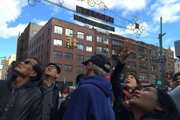 Museum of Chinese in America Admission with Optional Chinatown Walking Tour