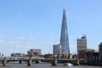 Panoramic Tour of London by Black Taxi