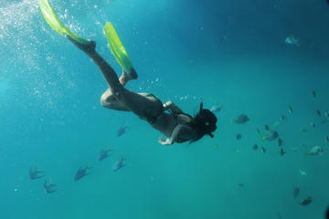 Glass Bottom Boat and Snorkel Tour in Los Cabos