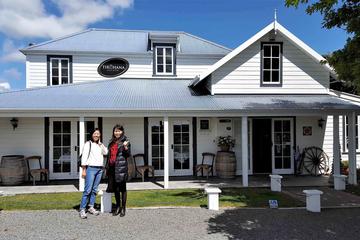 Half Day Martinborough Winery Tour from Wellington