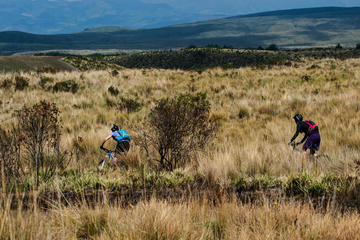 Antisana Bikes