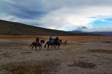 Avenue of Volcanoes Horseback Riding from Quito