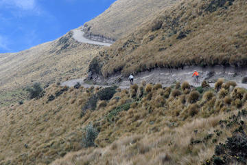 Cayambe Bikes