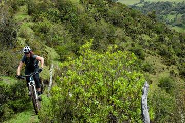 Nono - Mindo Bikes