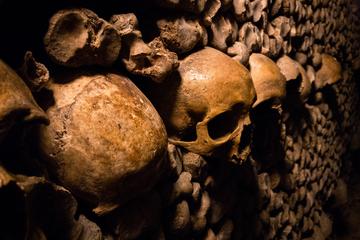 Catacombs Guided Tour - Skip the Line access