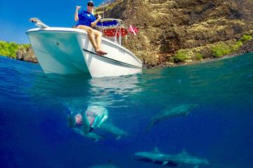 Captain Cook and Sea Cave Snorkel Excursion
