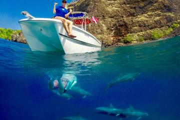 Kona Private Charter Ocean Excursion