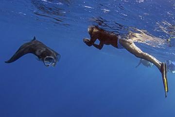 Small-Group Manta Ray Night Snorkel in Kona