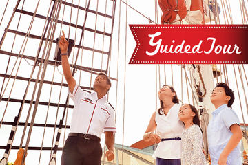 Royal Albatross Guided Tour