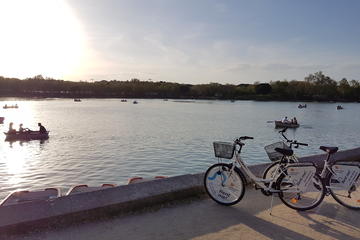 Bike Tour of Madrid (1hr)