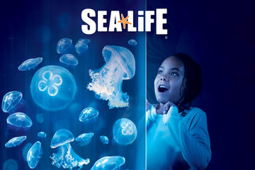 SEA LIFE Orlando Aquarium