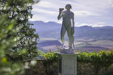 Florence with a View! - The hills of Florence: Minivan grand panoramic city tour