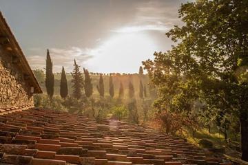 Gastronomic & Wine Experience in Tuscany