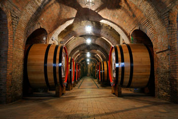 Honeymoon Organic Bio Wine and Food Tour In Chianti included also Pisa Tower