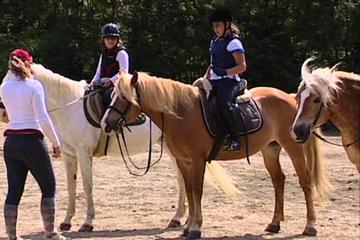 Horse Back Riding in Chianti hillsides & Wine Tour in the famous Chianti region
